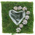 Floristik24 Plant cushion heart moss and cones, washed white 25 × 25cm