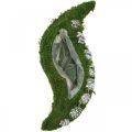 Floristik24 Planter moss and cones wave green, washed white 41 × 15cm