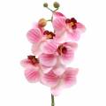 Floristik24 Artificial orchid branch Phaelaenopsis pink H49cm