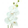 Floristik24 Orchid Phalaenopsis artificial white 80cm