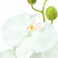 Floristik24 Orchid Phalaenopsis artificial white 80cm