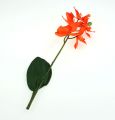 Floristik24 Artificial orchid with leaves orange 35cm
