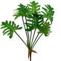 Floristik24 Philodendron plant artificial green 58cm