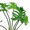 Floristik24 Philodendron plant artificial green 58cm
