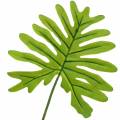 Floristik24 Philodendron Leaf Green 40cm