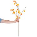 Artificial Physalis Branch with Flowers, 95 cm, Orange, for Indoor Decoration | Floristik24.co.uk