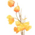 Artificial Physalis Branch with Flowers, 95 cm, Orange, for Indoor Decoration | Floristik24.co.uk