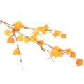 Artificial Physalis Branch