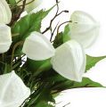 Floristik24 Physalis bush white 30cm
