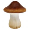 Floristik24 Mushroom mix of clay-ceramic brown 9cm 8pcs