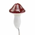 Floristik24 Toadstool on wire red, white 2cm 48pcs