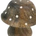 Floristik24 Decorative mushroom wood nature 5cm 6pcs