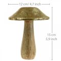 Floristik24 Mushroom mango wood gold, natural deco mushrooms large Ø12cm H15cm 2pcs