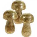 Floristik24 Mushroom mango wood gold, natural decorative mushroom Ø6cm H10cm 4pcs