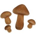Floristik24 Mushrooms light brown mix 2cm - 8cm 12pcs