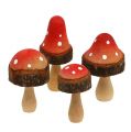 Floristik24 Wooden mushrooms mix 5.5cm - 8cm 8pcs