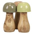 Floristik24 Wooden mushrooms decorative mushrooms wood beige, green Ø5cm H10.5cm 6pcs