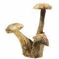 Floristik24 Mushrooms plum wood H27cm