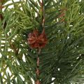Floristik24 Deco branches Christmas pine branch artificial 31cm 2pcs
