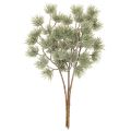 Artificial Pine Branch Set of 3 for Winter Decoration 55cm Green

```html
<h2>Artificial Pine Branch for Winter and Christmas Decoration</h2>

<p>The artificial pine branch set is a versatile addition to your seasonal home decorations. Each branch is 55 c | Floristik24.co.uk
