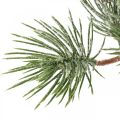 Floristik24 Christmas branches artificial pine branch snowed 30cm 6pcs