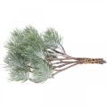 Floristik24 Christmas branches artificial pine branch snowed 30cm 6pcs