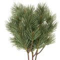 Floristik24 Artificial Pine Twig Set, 55cm, Pack of 3, Green

```html
<h2>Artificial Pine Twig for Festive Decoration</h2>

<p>
This artificial pine twig set includes three green branches, each 55cm long. Designed for indoor use, these plastic pine twigs bring a real