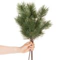 Artificial Pine Twig Set, 55cm, Pack of 3, Green

```html
<h2>Artificial Pine Twig for Festive Decoration</h2>

<p>
This artificial pine twig set includes three green branches, each 55cm long. Designed for indoor use, these plastic pine twigs bring a real | Floristik24.co.uk
