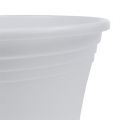 Floristik24 Plastic pot “Irys” white Ø29cm H24cm, 1pc