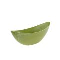 Floristik24 Plastic bowl 39cm x 12.5cm H13cm light green