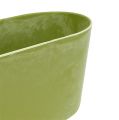Floristik24 Plastic bowl oval light green 27cm x 11cm H10cm 1pc