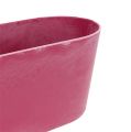 Floristik24 Plastic bowl oval pink 27cm x 11cm H10cm 1p