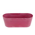 Floristik24 Plastic bowl oval pink 27cm x 11cm H10cm 1p