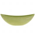 Floristik24 Decorative bowl green 34cm x 11cm H11cm