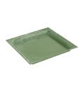 Floristik24 Plastic plate green square 19,5cm x 19,5cm