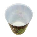 Floristik24 Plastic pot with herbs Ø12cm H13,5cm, 1pce