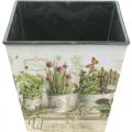Floristik24 Herb pot, planter with motif, planter H13cm W13.5cm
