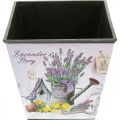 Floristik24 Plant pot lavender motif, square decorative pot, plastic cachepot H13cm W13.5cm