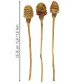 Platyspermum Cream 1-3, 50 heads | Floristik24.co.uk