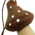 Floristik24 Toadstool for hanging Brown 6cm 4pcs