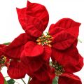 Floristik24 Artificial poinsettia red stem flower 3 flowers 85cm