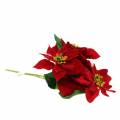 Floristik24 Poinsettia bouquet red velvet 35cm