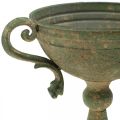 Floristik24 Cup with handles, metal goblet, amphora for planting Ø14cm H18cm