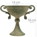 Floristik24 Cup with handles, metal goblet, amphora for planting Ø14cm H18cm