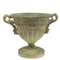 Floristik24 Cup bowl Shabby Chic Green Ø19cm H18cm