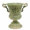 Floristik24 Cup bowl antique green Ø20cm H24cm