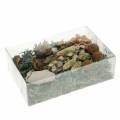 Floristik24 Herbstdeko Mix as a handicraft set Dried Bleached 150g