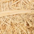 Natural raffia bundles for floristry and gift wrapping, 1kg | Floristik24.co.uk