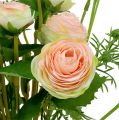 Floristik24 Ranunculus bouquet pink 43cm