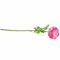 Floristik24 Ranunculus pink artificial 48cm